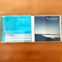 浜田省吾 CD アルバム2枚 Sand Castle Wasted Tearsのサムネイル