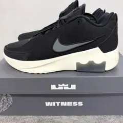 新品NIKE ナイキ レブロン バスケットシューズ バッシュ スニーカー 26のサムネイル