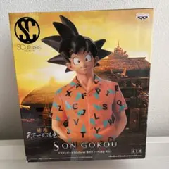 ドラゴンボール 造形天下一武道会 其之一 孫悟空 アロハ 612pcTeLQdL._UF894,1000_QL80_.jpg
