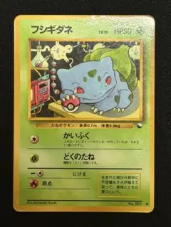 フシギダネ イントロパック 旧裏 プロモ? - メルカリ