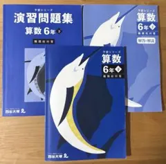 予習シリーズ&演習問題集 算数 6年 下 難関校対策 四谷大塚