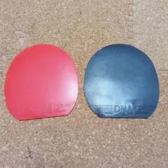 Item thumbnail for item e4d1dca1-3b19-4976-b1e1-0cf19092011b