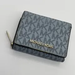 Item thumbnail for item bc629091-c736-4d0e-a1fd-cbccf7c0f3d5