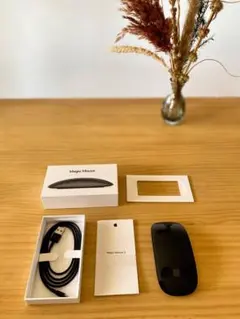【純正】【美品】Magic Mouse 2 スペースグレイ 充電ケーブル・箱付