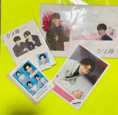 SnowMan 渡辺翔太 セット③ RAYS