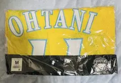 Item thumbnail for item 27f18f1f-f36c-4c2e-95b3-f3a3fe064113