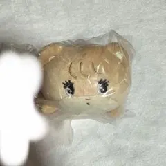 Lil ala mode ねそべりぬいぐるみ mikko ラテ