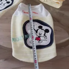 Item thumbnail for item 47306037-0d72-4bcd-969f-4bcad4e21b86