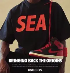 WIND AND SEA TeeJordan bred Tシャツ サイズ Mのサムネイル