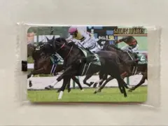 2507 セイウンハーデス まねき馬倶楽部 競馬 カード