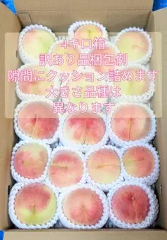 4kg さくら白桃 8月29日収穫9月1日出荷