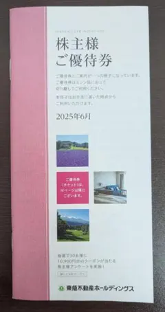 【迅速発送＆お届け】１冊（500～1000株未満）　東急不動産　株主優待