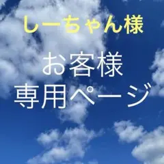 しーちゃん様 リクエスト 2点 まとめ商品