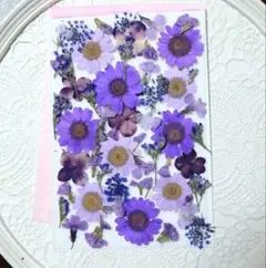押し花紫系小花セット
