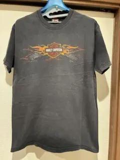 Item thumbnail for item 879ab71b-e445-4c6d-919a-269c29fc356f