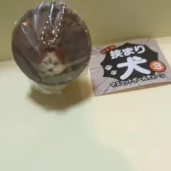 挟まり犬　マスコットチェーン