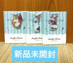 モフサンド アクリルチャーム ファミマ限定 3種セット