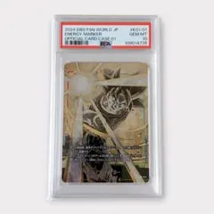 coeur_plants様 リクエスト 2点 まとめ商品