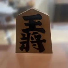 金井静山作 将棋駒 王将一枚 盛上駒 錦旗書 希少品 値下げ不可 根付け 