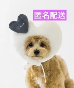 ② ハート顔ハメ アイボリー ハート バレンタイン 犬 ペット スリーコインズ