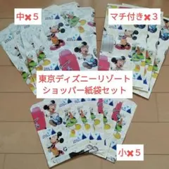 東京ディズニーリゾート ショップ紙袋 13枚セット