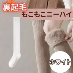 裏起毛　オーバーニー　ホワイト 白 2足 セット レディース　フリーサイズ　防寒