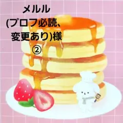 メルル(プロフ必読、変更あり)様　おまとめ②　おまとめ①同梱発送追加分