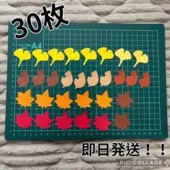落ち葉　ランダム30枚セット　9月　10月　製作キット