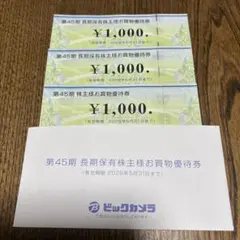 ビックカメラ株主優待　3000円
