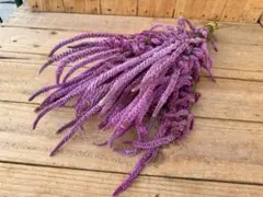 オハナ様 リクエスト 4点 まとめ商品