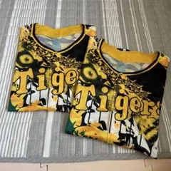 Item thumbnail for item 12eca2c1-9818-492d-9902-54c810862520