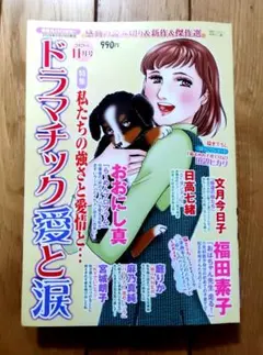 まとめ売りOK★レディコミ　愛と涙2026年11月号 レディースコミック