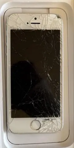 Item thumbnail for item b521b3d9-ed70-48a6-840a-c8eaf0e8fa90