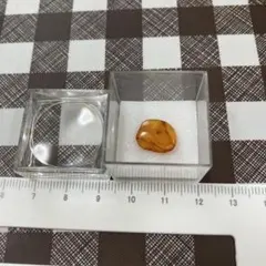 虫入り 久慈琥珀