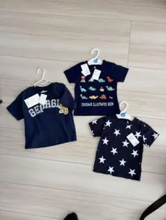 Item thumbnail for item 8e8958b7-37e4-469d-b647-5f6ce40281e7