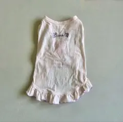 Item thumbnail for item c9ef8734-c7e3-43c7-9a3c-523083805026