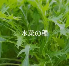 coco.mai様 リクエスト 2点 まとめ商品