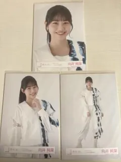 櫻坂46 向井純葉 「Start over!」ジャケット写真衣装 生写真 コンプ
