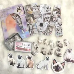 Item thumbnail for item e22e548f-a8b6-4ed8-9f7f-e543f9c80e16