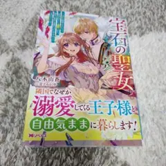宝石の聖女 ー宝石を要求していたら「欲深女め!」と追放された。結界の維持に必要…