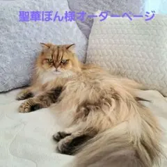 聖華ぽん様専用、オーダーメイドページ、お一人様限定