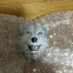 【新品未開封】マンウィズ一番くじ H賞 ジャンケンジョニー フェイスマグネット