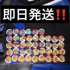ポケモンバトリオ じめん・ドラゴン タイプ