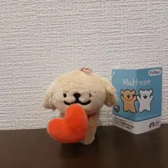 Maltese モルチーズ　ハートフルマスコット　レトリバー　犬　イヌ