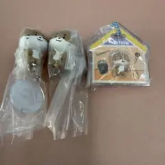 MINITEEN つまんでつなげてマスコット　パッケージチャーム　ディノ