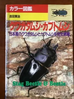世界のクワガタムシ 池田晴夫 クワガタムシの標本写真 図鑑 - メルカリ