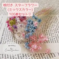 massan様 リクエスト 2点 まとめ商品