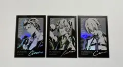 パニグレ　クロム　カムイ　カム　ストライクホーク　ホロカード