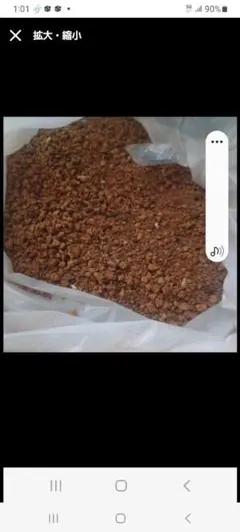 2025年最新】カバノアナタケの人気アイテム - メルカリ