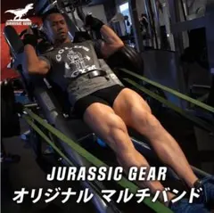 JURASSIC GEAR オリジナルマルチバンド グリーン 1本